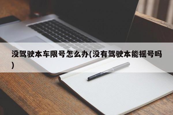 没驾驶本车限号怎么办(没有驾驶本能摇号吗)